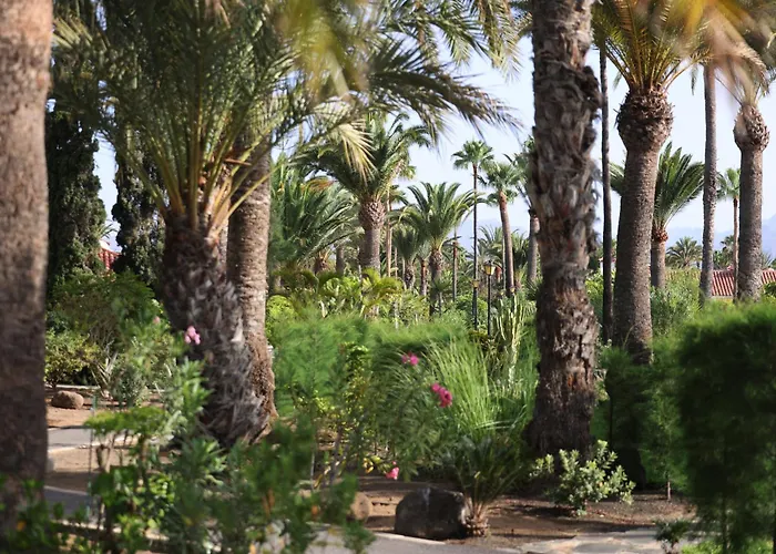 Apartment Sun Club Superior Maspalomas (Gran Canaria)